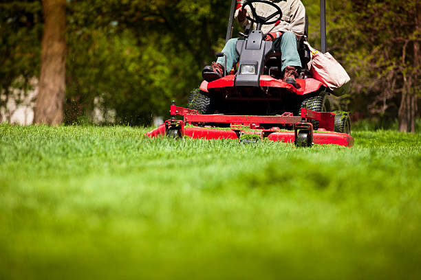 lawn cutting service